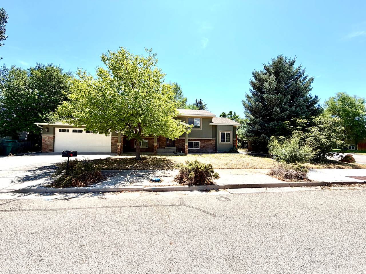 105 Cedar Dr - Photo 1