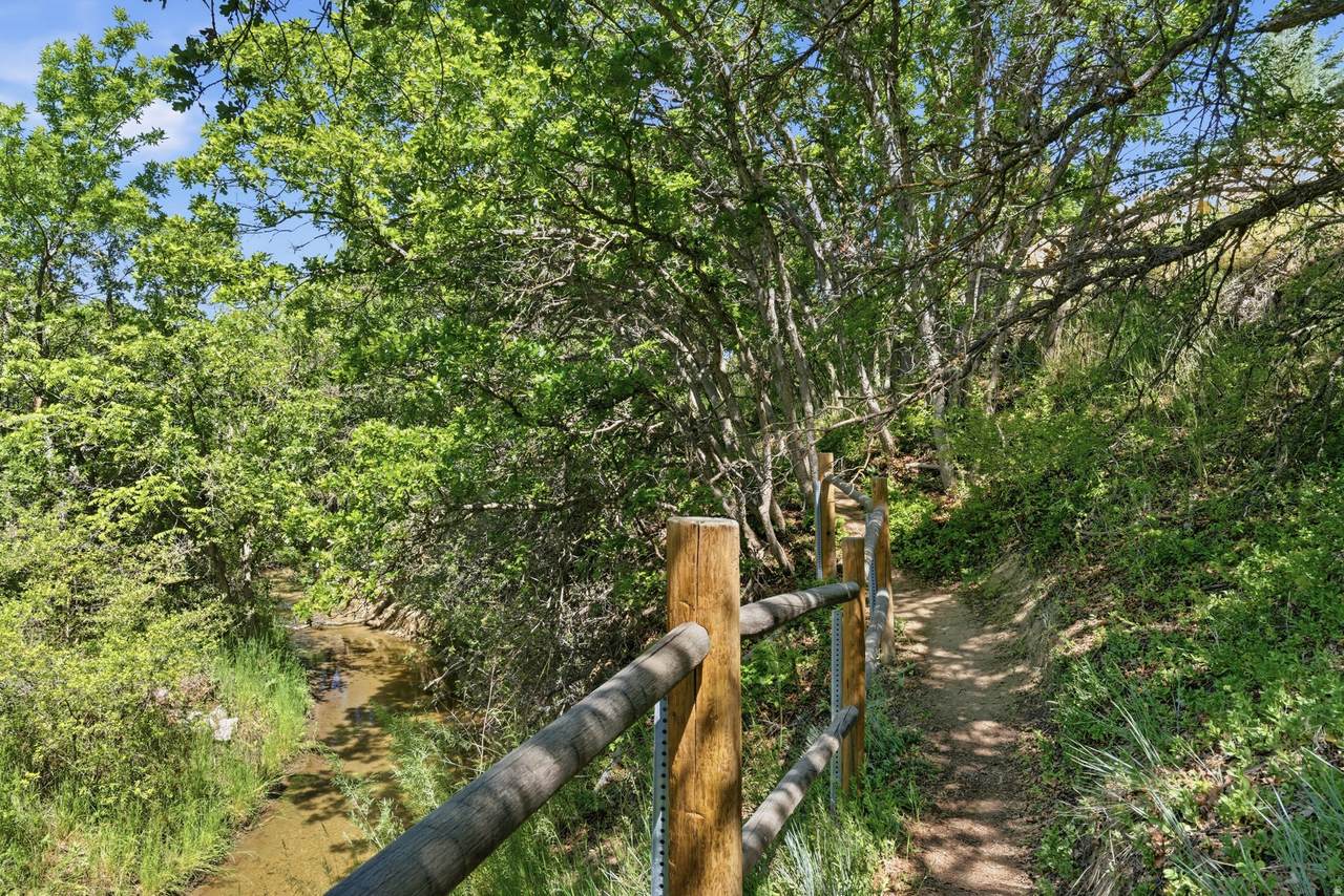 https://bt-photos.global.ssl.fastly.net/wasatch/1280_boomver_2_2177976-1.jpg