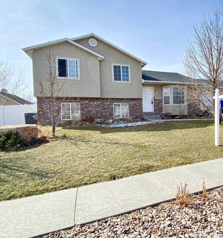 5393 Rosemill Dr - Photo 1