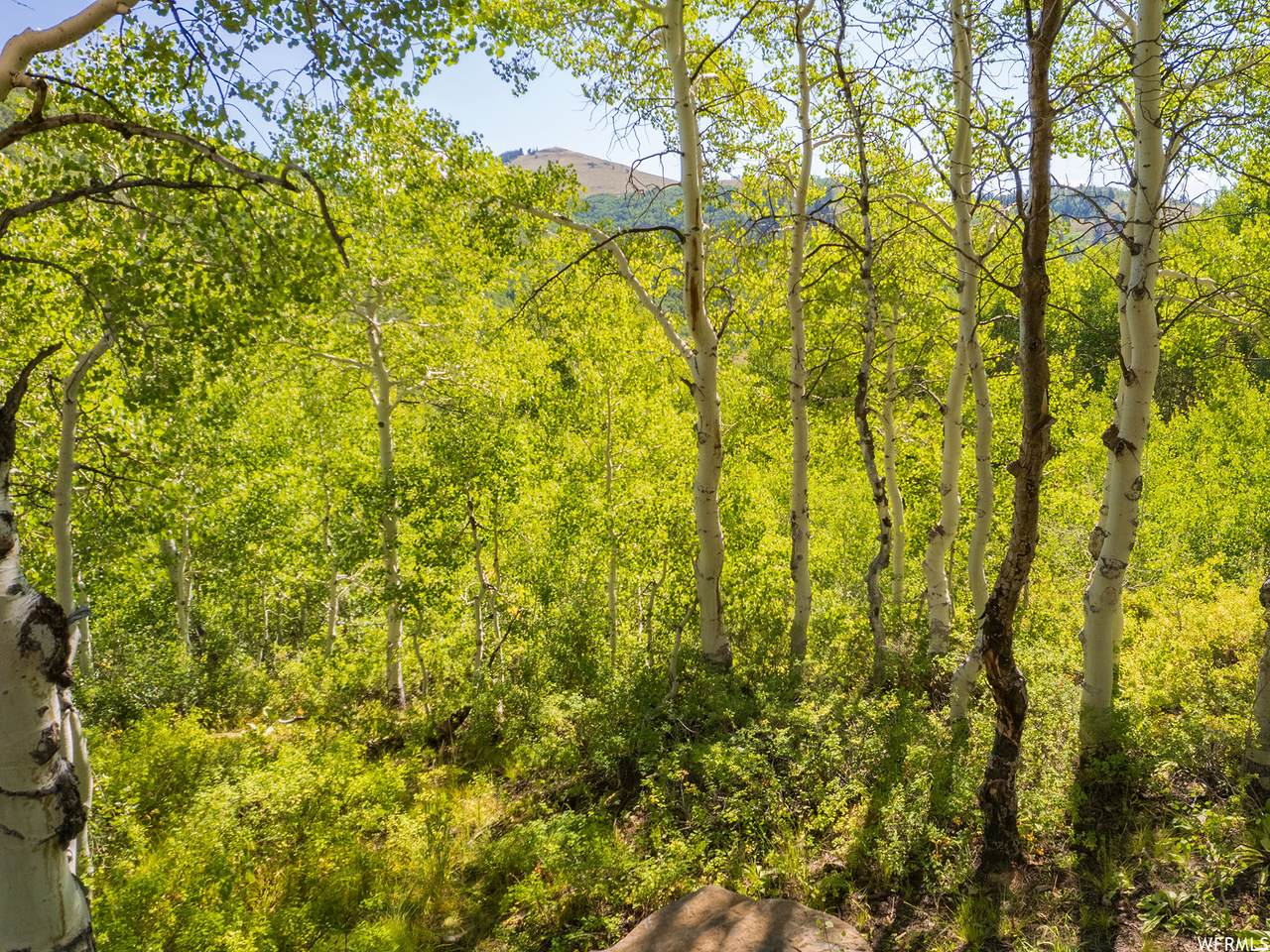 1741 Water Way - Photo 1