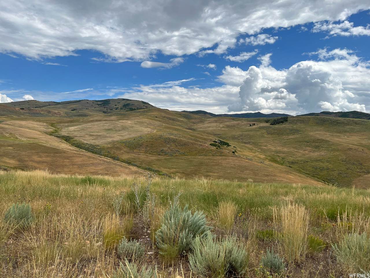 https://bt-photos.global.ssl.fastly.net/wasatch/1280_boomver_3_1969242-1.jpg
