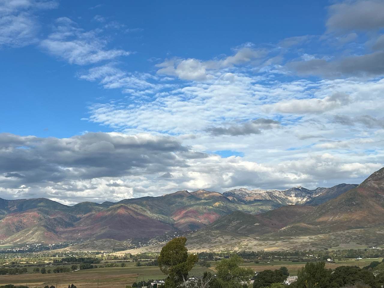 2573 Wildflower Ln - Photo 1