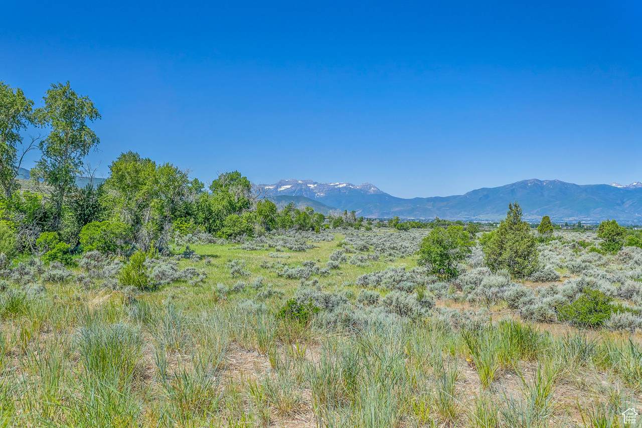 16 Remuda Run Dr - Photo 1