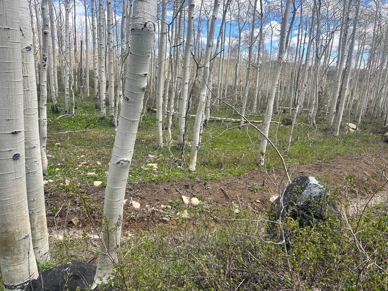 https://bt-photos.global.ssl.fastly.net/wasatch/1280_boomver_3_2115412-1.jpg
