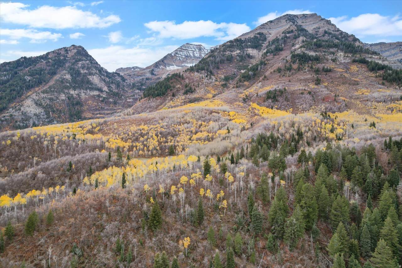 https://bt-photos.global.ssl.fastly.net/wasatch/1280_boomver_3_2122866-1.jpg