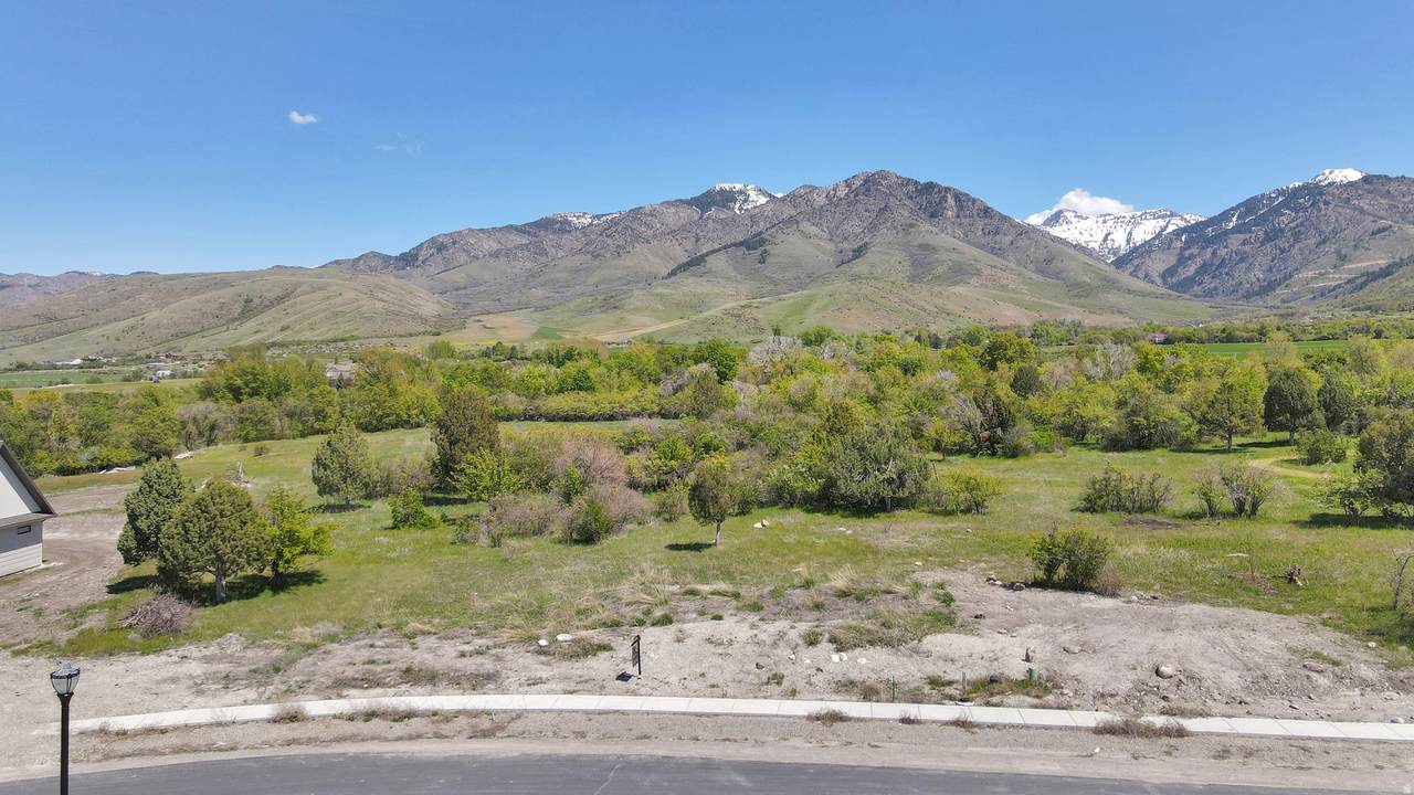680 Cherry Creek Pkwy - Photo 1