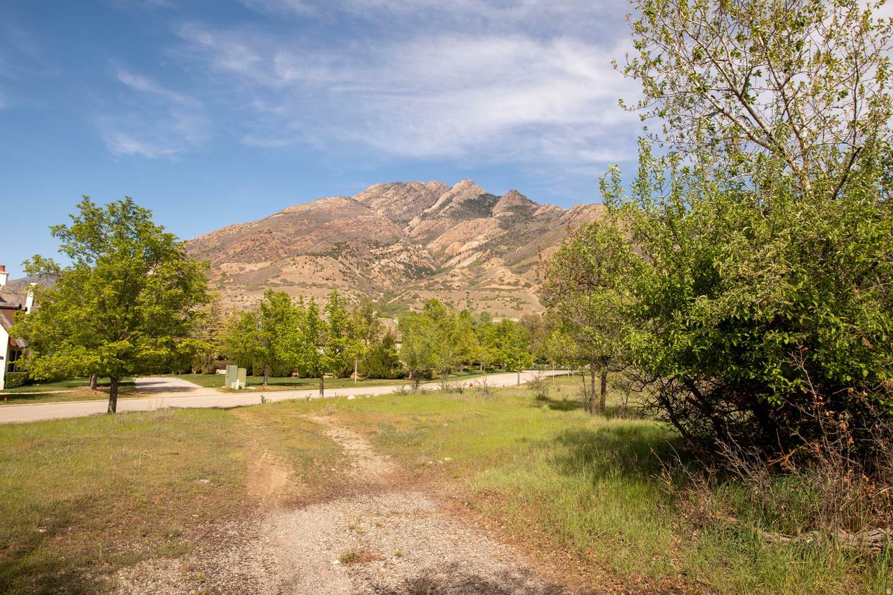 https://bt-photos.global.ssl.fastly.net/wasatch/1280_boomver_3_2144437-1.jpg