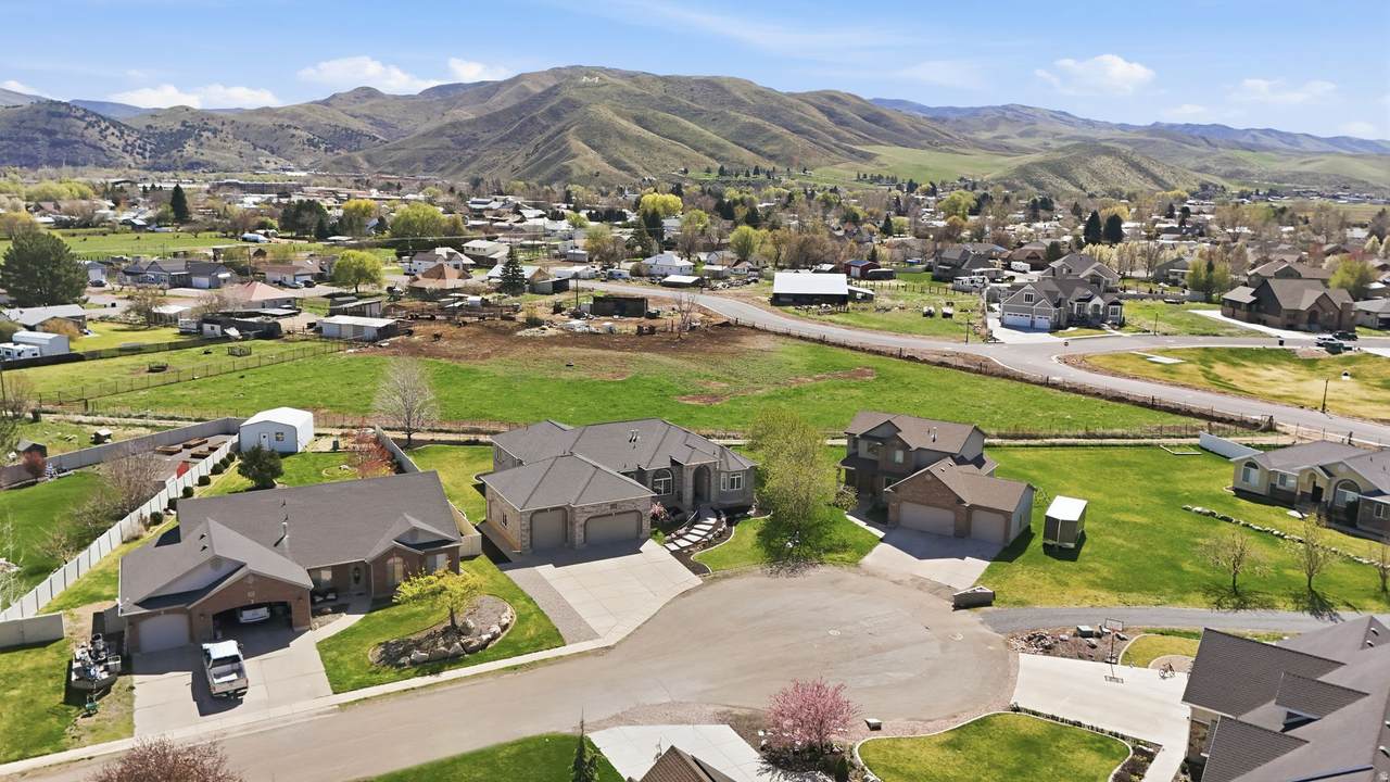 407 Larkspur Ln - Photo 1