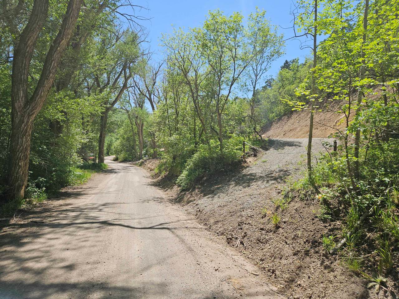 53 Birch Creek Dr - Photo 1