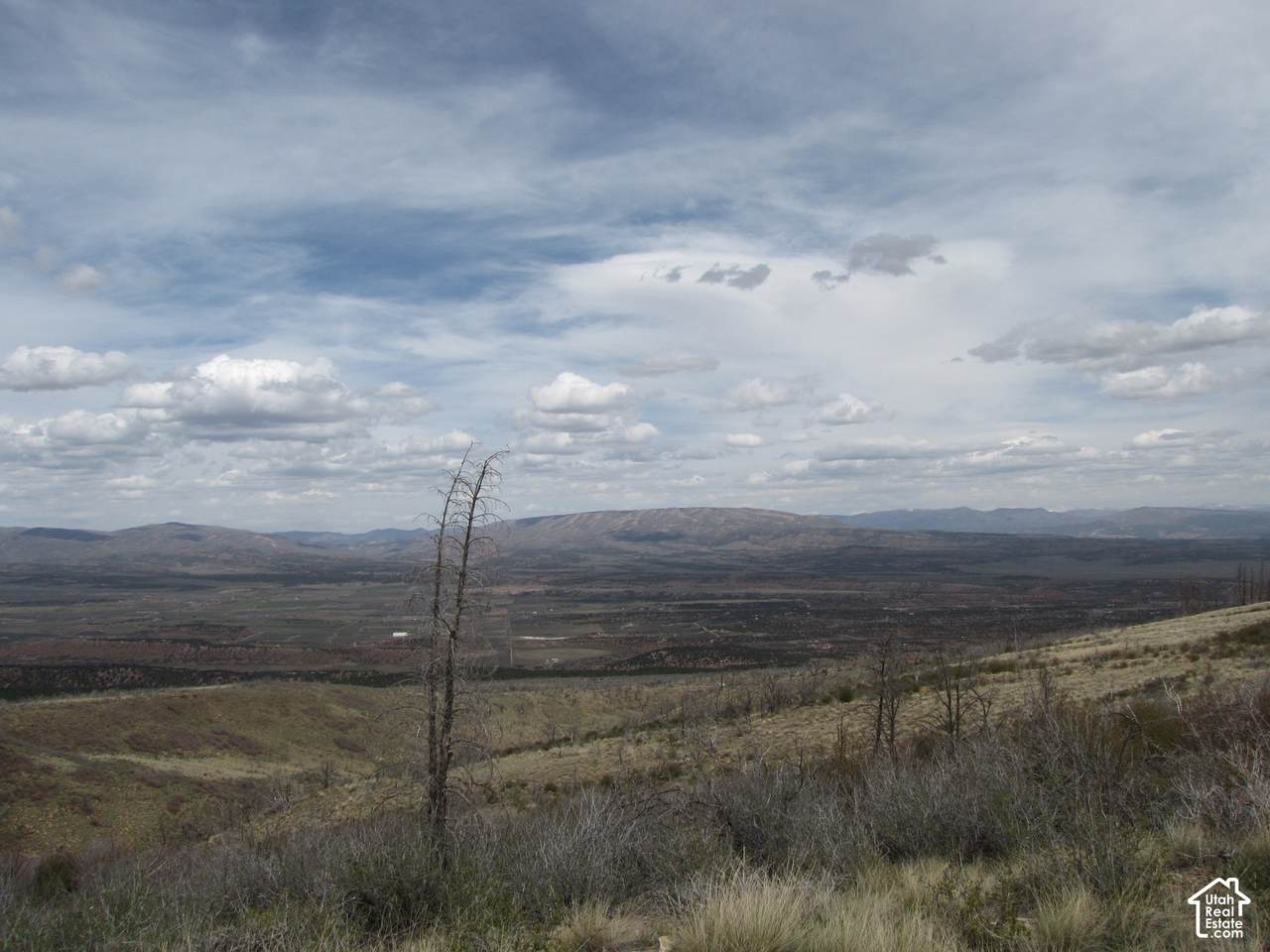 https://bt-photos.global.ssl.fastly.net/wasatch/1280_boomver_3_2151433-1.jpg