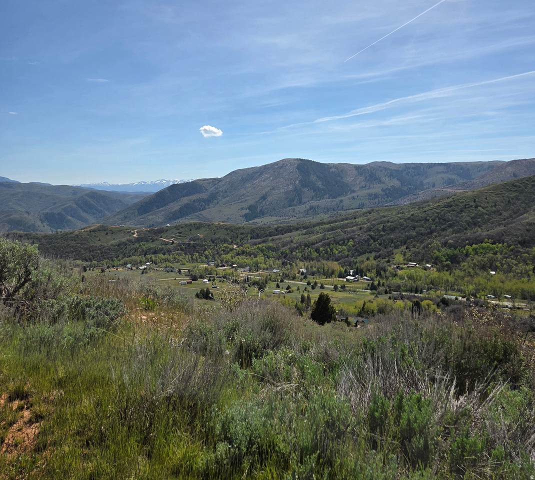3325 Oak Cyn - Photo 1