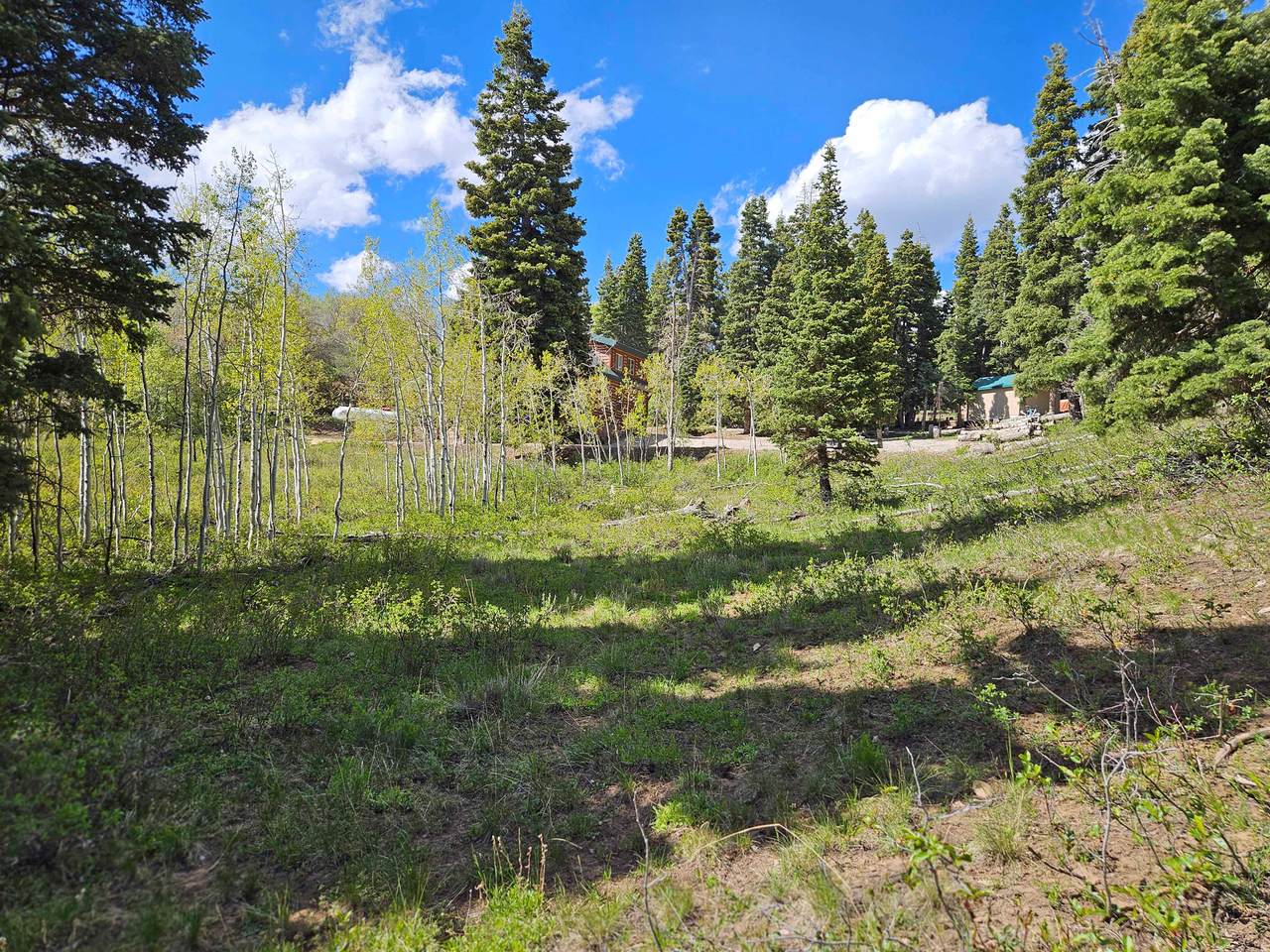 50 Thads Peak Dr - Photo 1