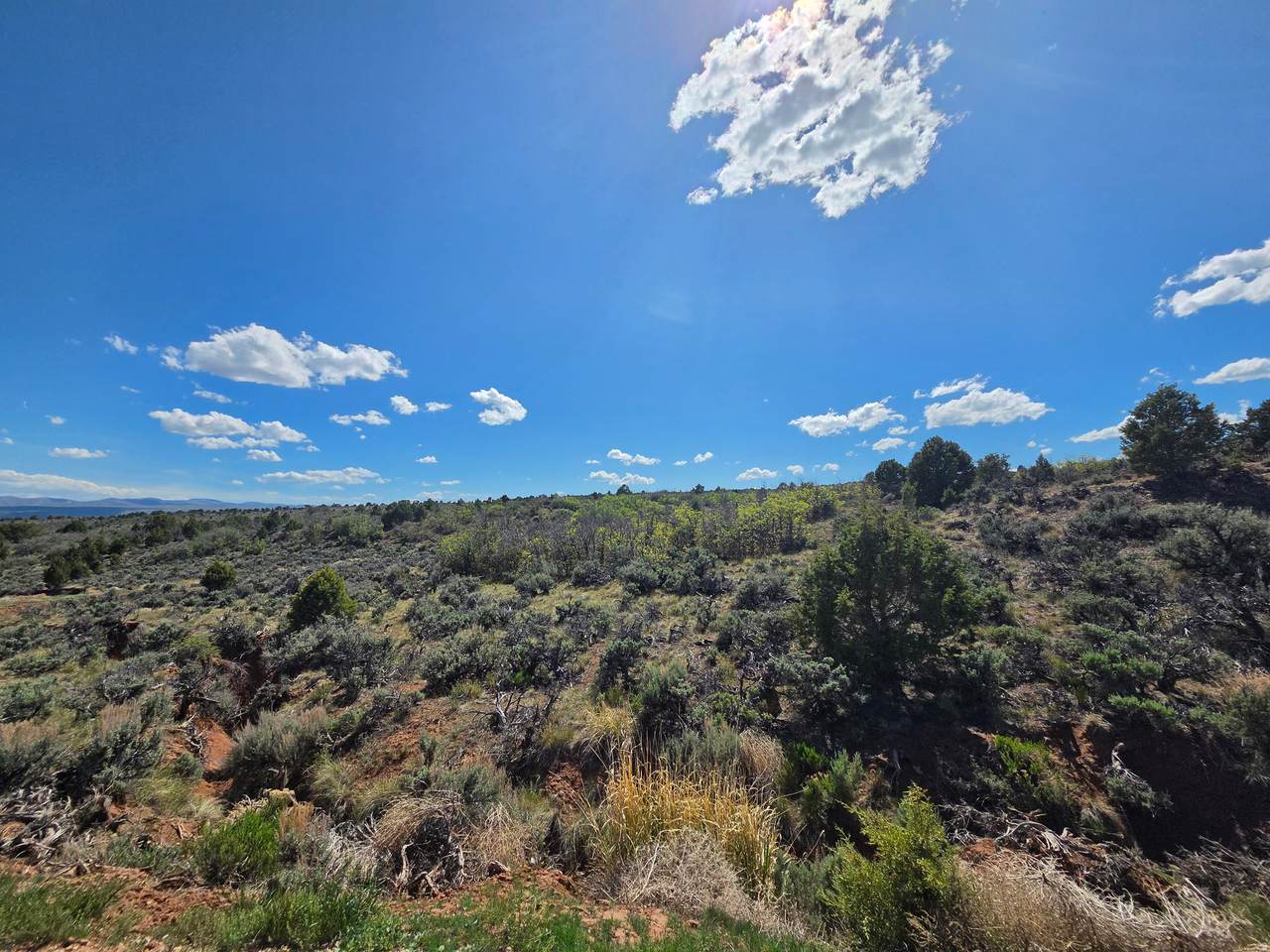 https://bt-photos.global.ssl.fastly.net/wasatch/1280_boomver_3_2162004-1.jpg