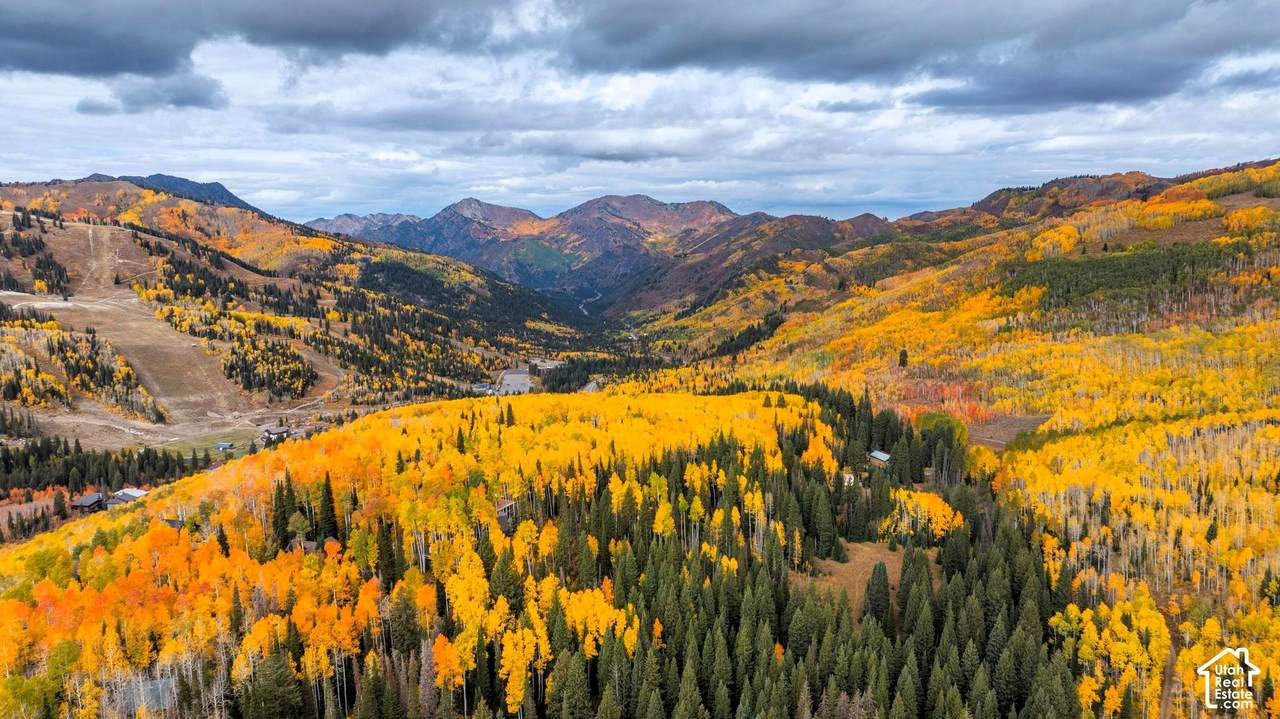 https://bt-photos.global.ssl.fastly.net/wasatch/1280_boomver_3_2172232-1.jpg