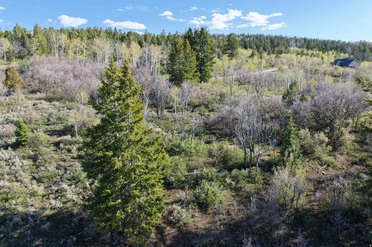 17104 Alta Dr - Photo 1