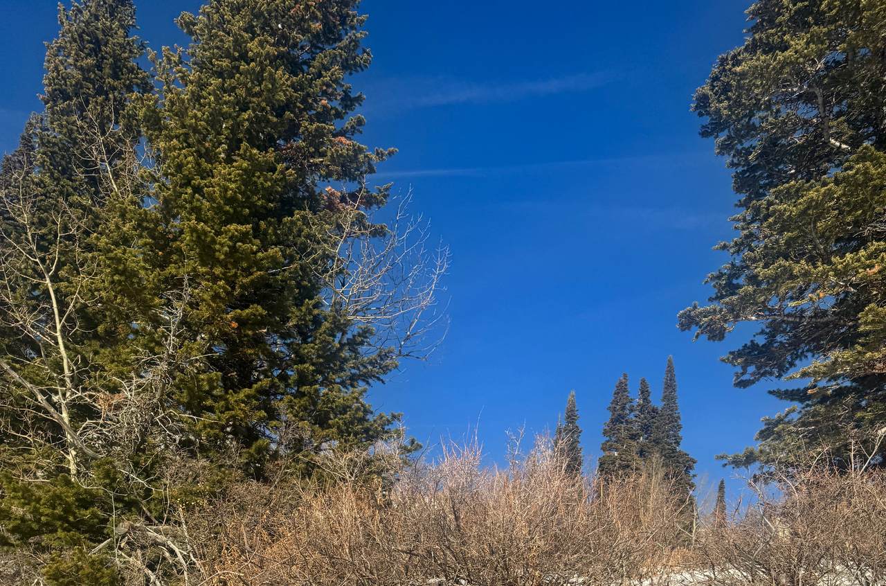 https://bt-photos.global.ssl.fastly.net/wasatch/orig_boomver_3_2126986-1.jpg