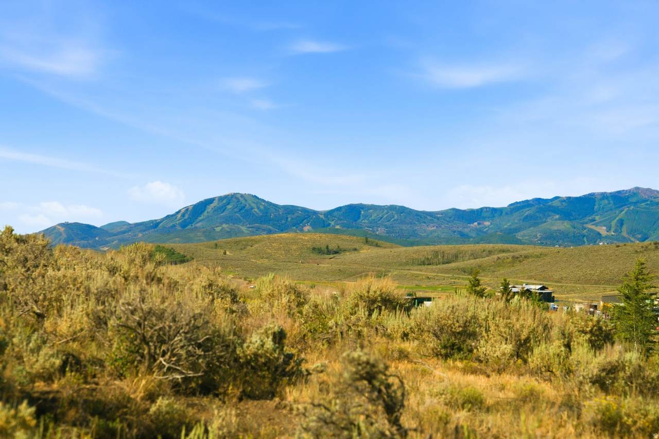 https://bt-photos.global.ssl.fastly.net/wasatch/1280_boomver_4_2136898-1.jpg
