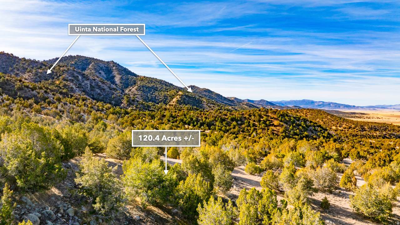 0 County Road 28 - Photo 1