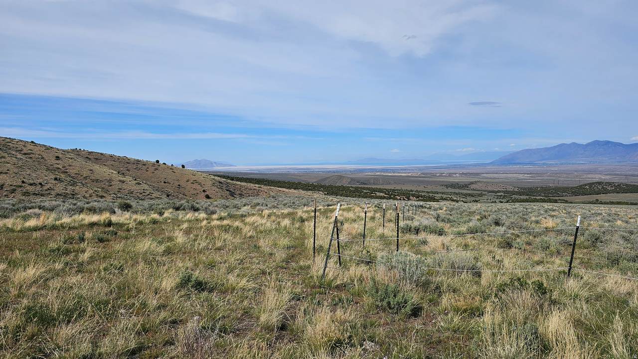 https://bt-photos.global.ssl.fastly.net/wasatch/1280_boomver_4_2149923-1.jpg