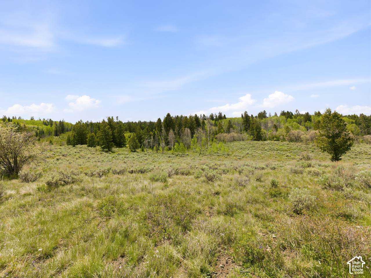 https://bt-photos.global.ssl.fastly.net/wasatch/1280_boomver_4_2160605-1.jpg