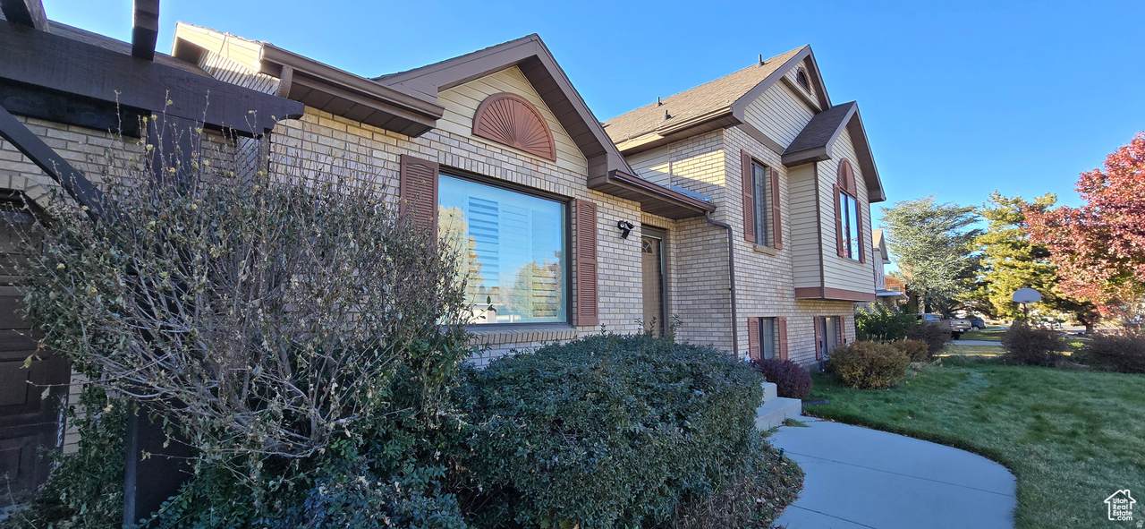 10248 Buttercup Dr - Photo 1