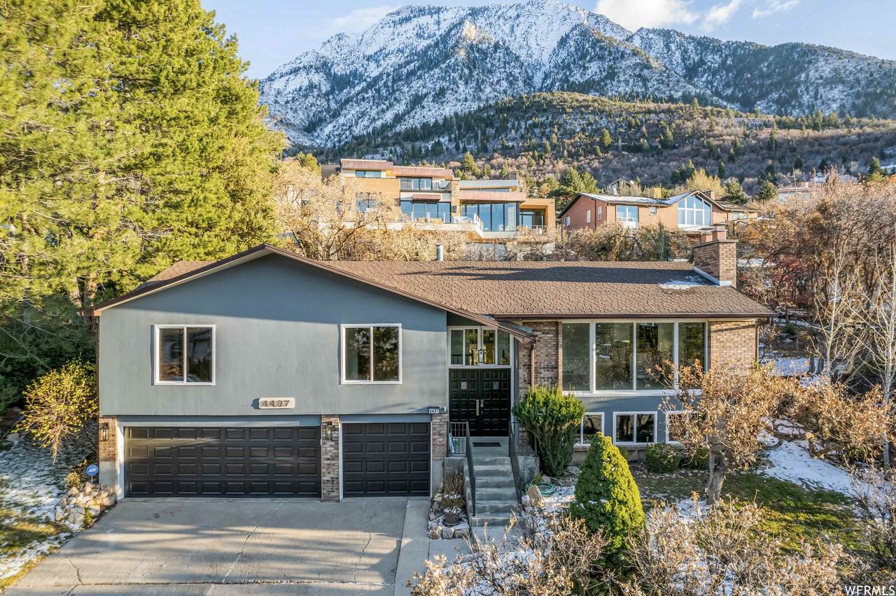 4497 Adonis Dr - Photo 1