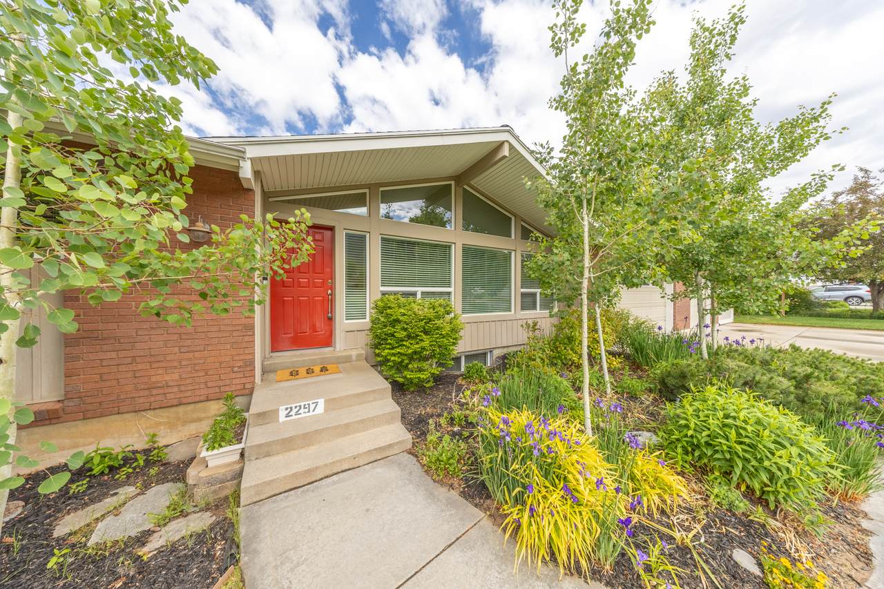 2297 Joni Dr - Photo 1