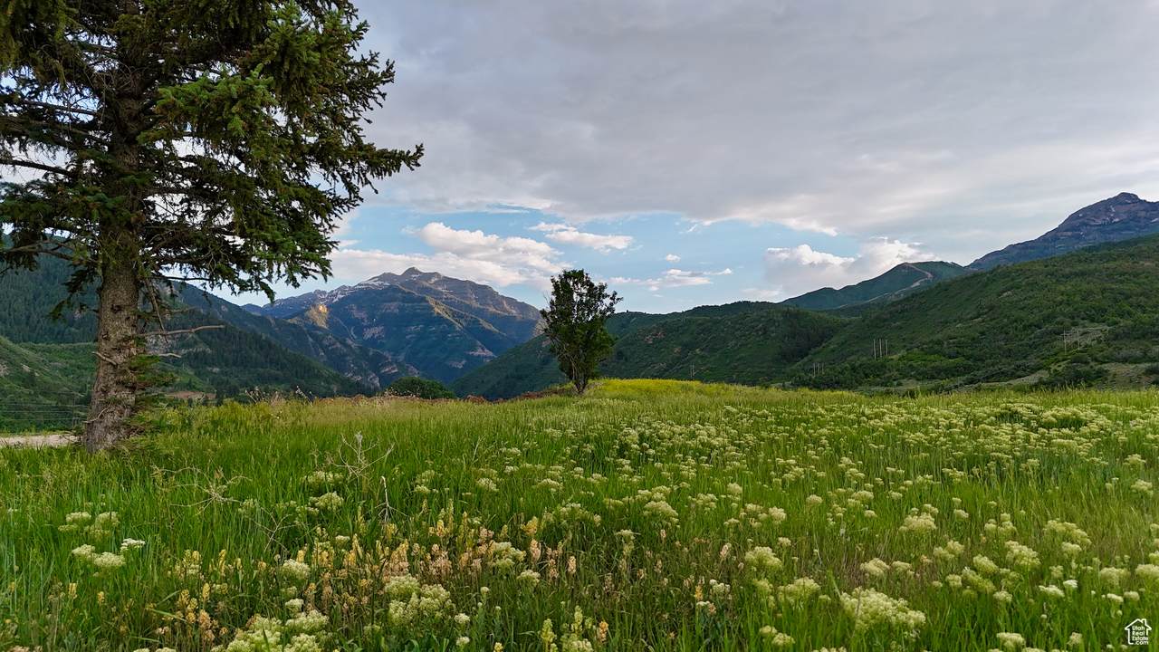 https://bt-photos.global.ssl.fastly.net/wasatch/1280_boomver_4_2027530-1.jpg