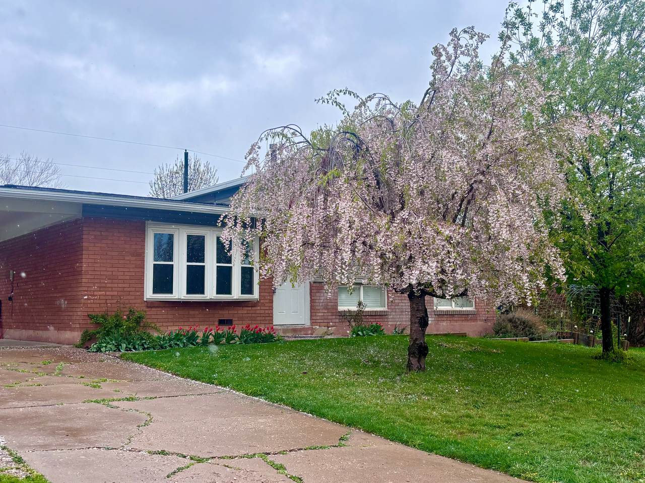 1094 Angel St - Photo 1