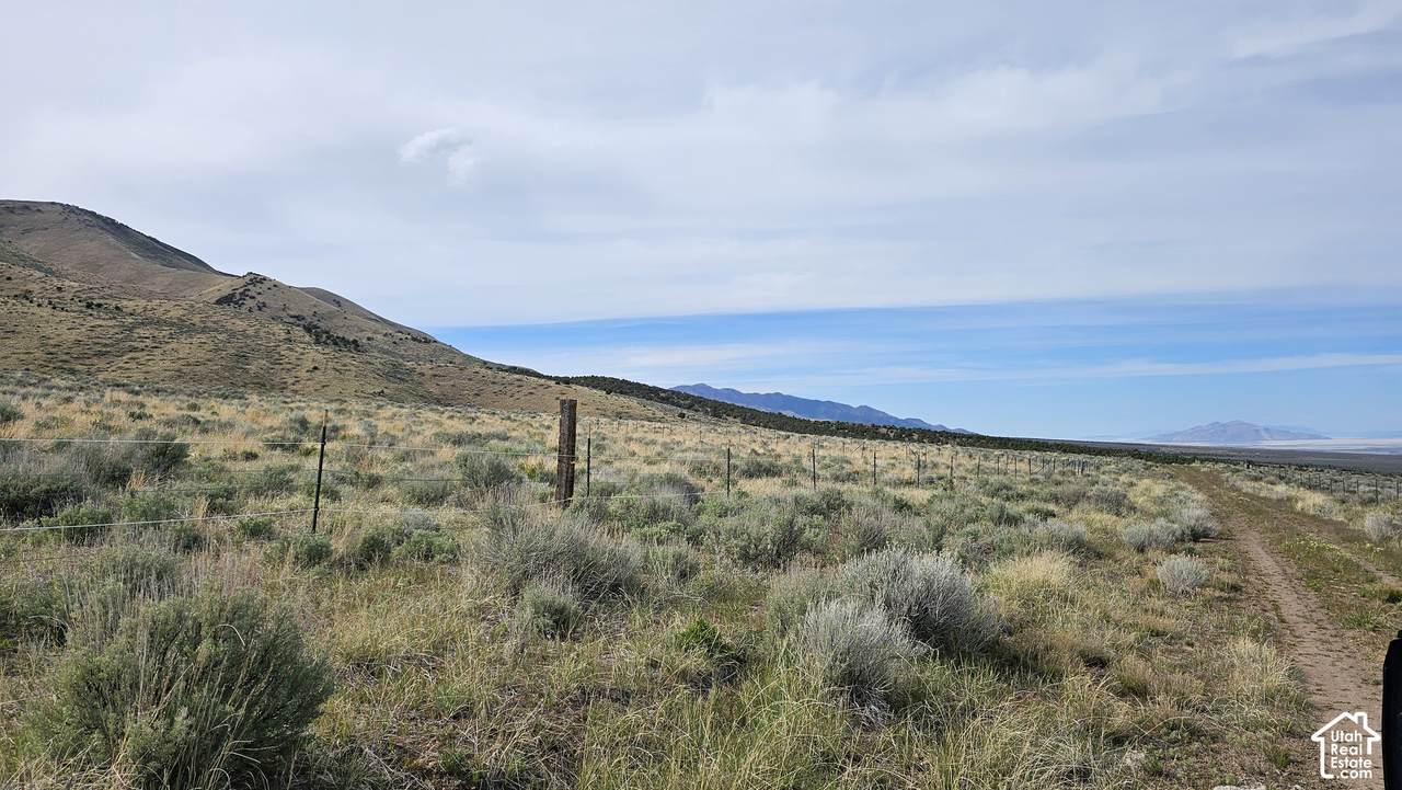 25 Stansbury Agricultural Propert - Photo 1
