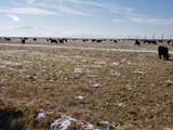4580 1700 - Photo 13
