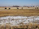 4580 1700 - Photo 8