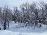 5941 Snowbasin Rd - Photo 22