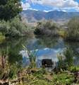 374 100 - Photo 2