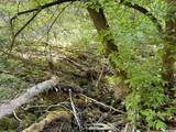 5025 Hollow Rd - Photo 21