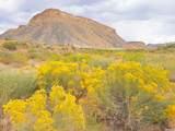 271 Thompson Canyon Rd. - Photo 4