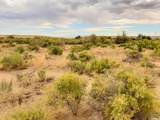271 Thompson Canyon Rd. - Photo 5