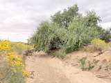 271 Thompson Canyon Rd. - Photo 7
