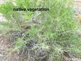 361 Thompson Canyon Rd. - Photo 13