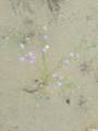 361 Thompson Canyon Rd. - Photo 14