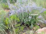 361 Thompson Canyon Rd. - Photo 8