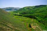 3695 Dry Valley Rd - Photo 4