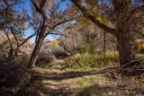 1389 Powerhouse Ln - Photo 65