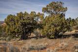 117 Flat Iron Mesa Rd - Photo 28