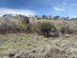 971 Cisco Run - Photo 5