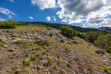2314 La Sal Peak Dr - Photo 10