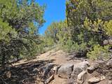 255 Canyon Creek Cir - Photo 5