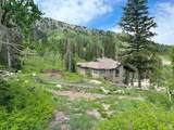 12176 Big Cottonwood Canyon Rd - Photo 2
