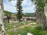 12176 Big Cottonwood Canyon Rd - Photo 4