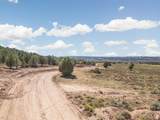 1897 Eagle Ridge Cir - Photo 12